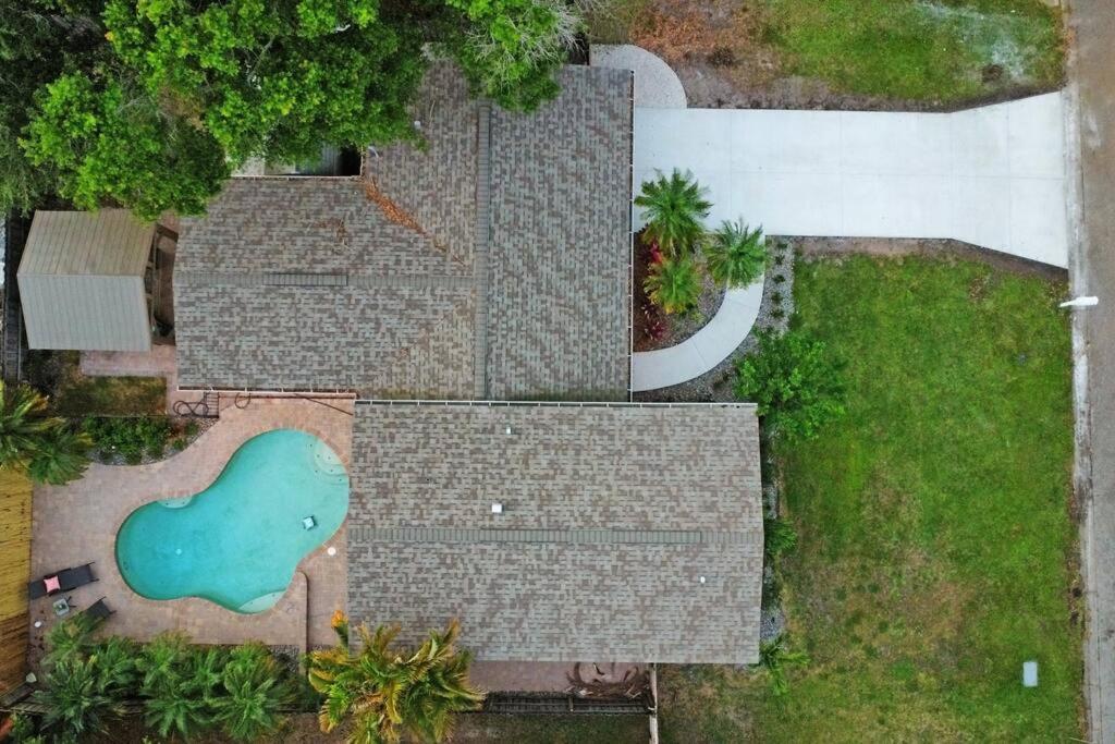 Palm Tree Paradise Tampa Pool Home Buitenkant foto